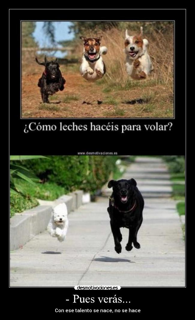 - Pues verás... - Con ese talento se nace, no se hace