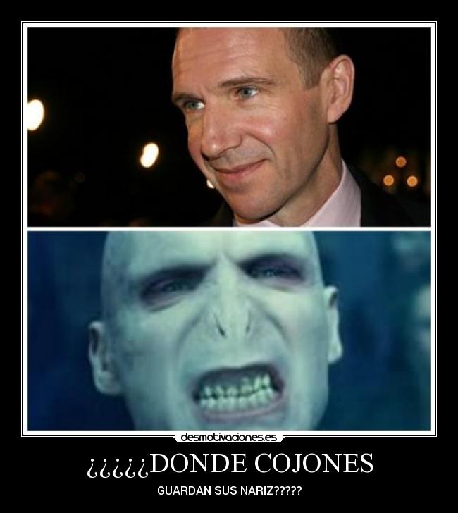 ¿¿¿¿¿DONDE COJONES -