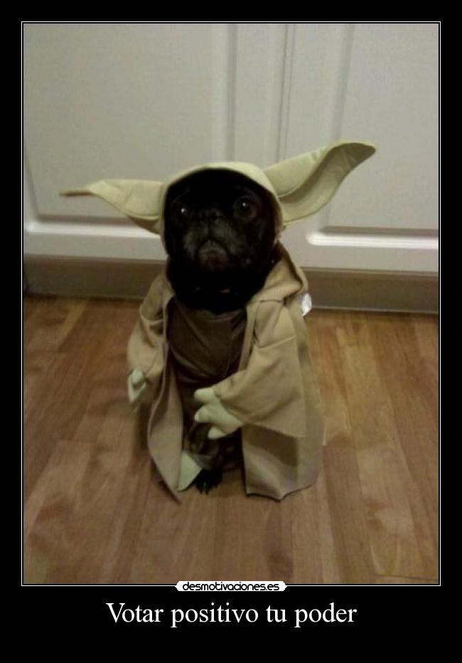 carteles yoda perro desmotivaciones