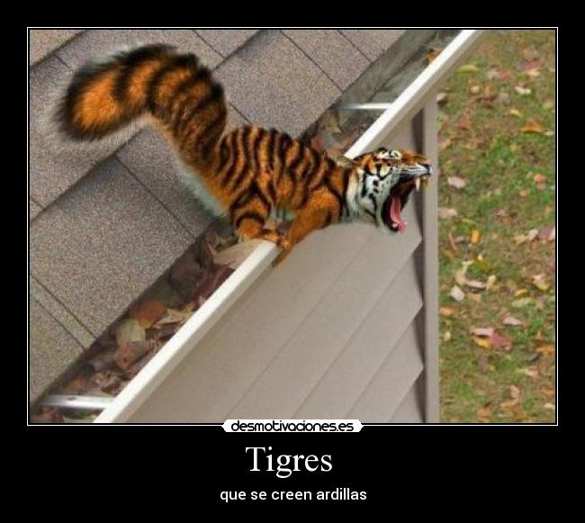 Tigres  - 