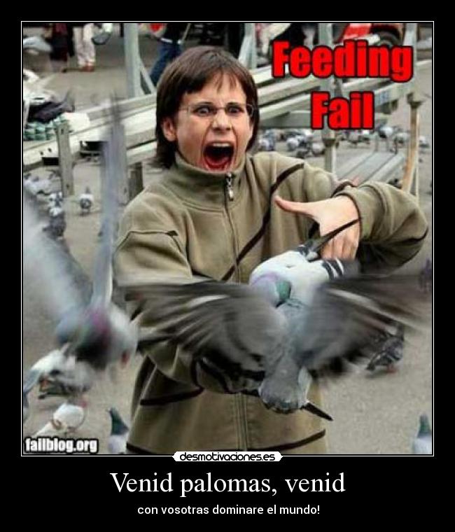 carteles palomas adnpkwsx desmotivaciones