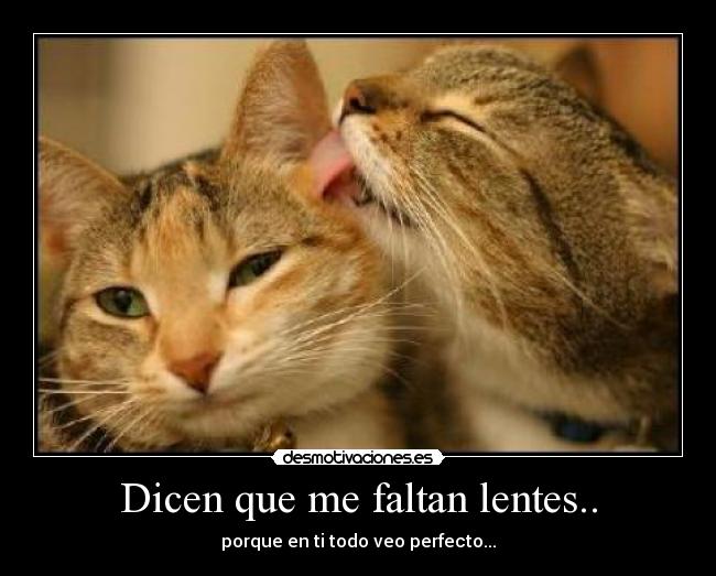 Dicen que me faltan lentes.. - porque en ti todo veo perfecto...