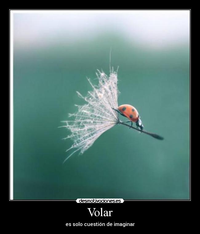 Volar - es solo cuestión de imaginar