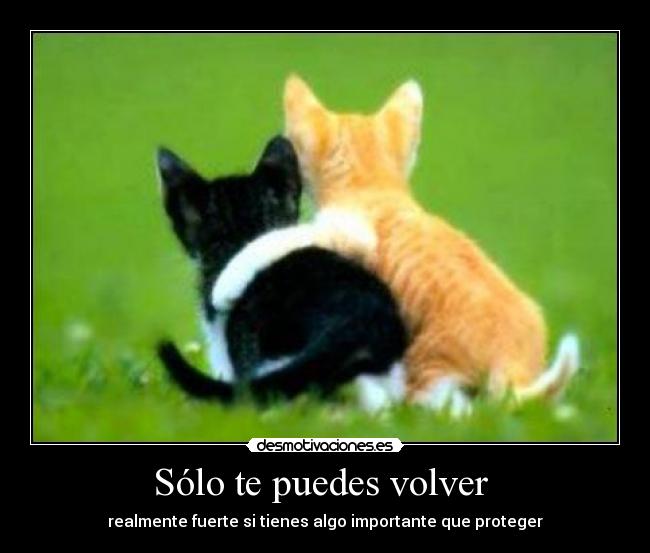 Sólo te puedes volver -