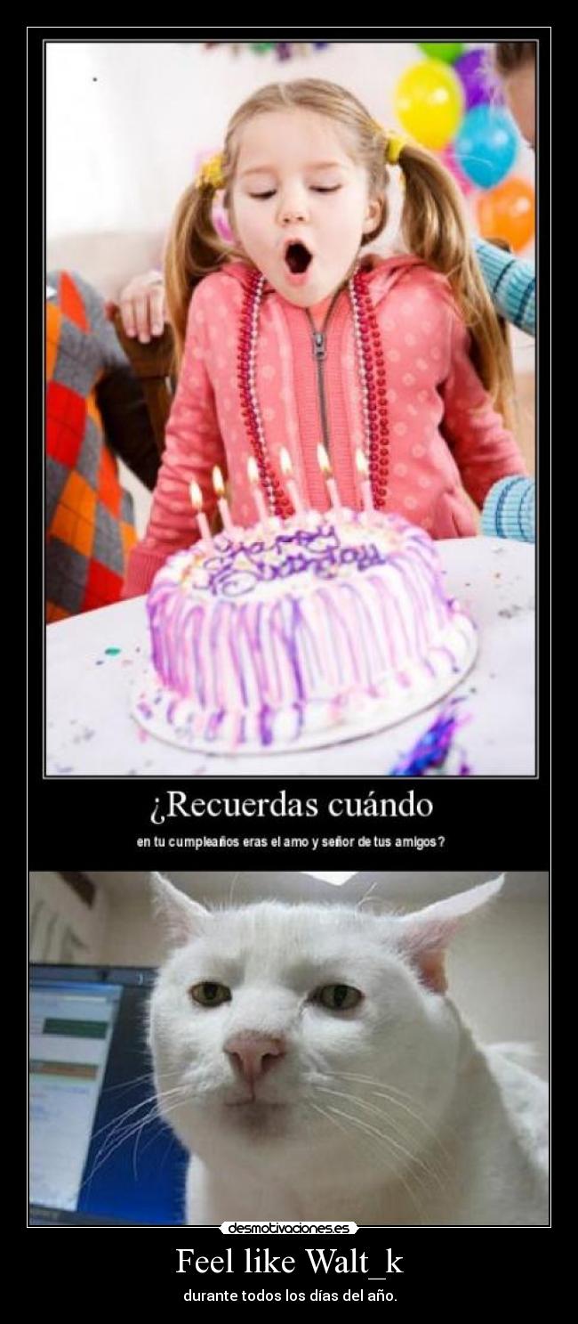 Feel like Walt_k - durante todos los días del año.