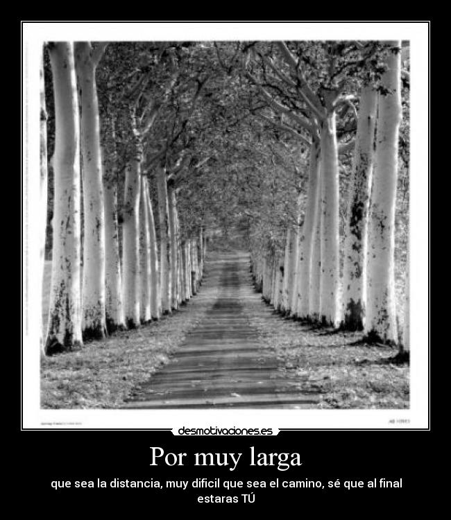 Por muy larga -
