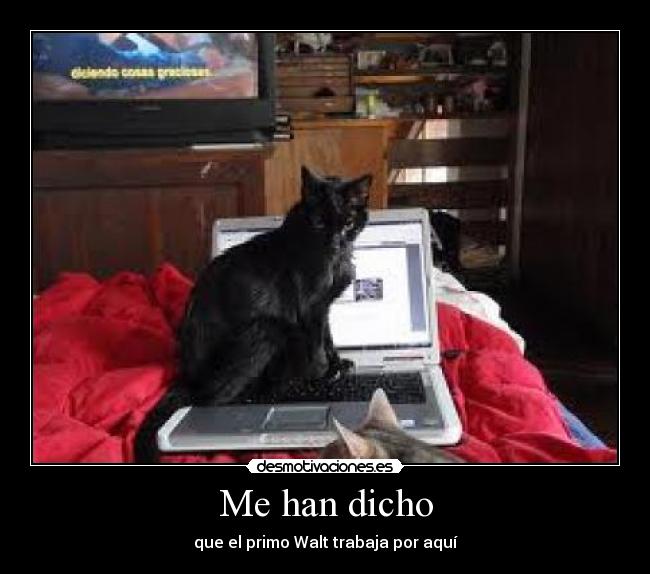 Me han dicho - que el primo Walt trabaja por aquí