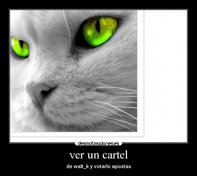 ver un cartel - de walt_k y votarlo apostas