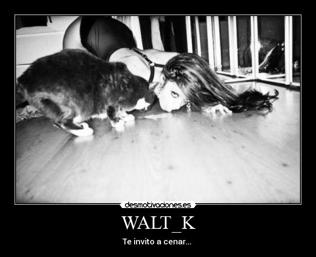 carteles walt_k desmotivaciones