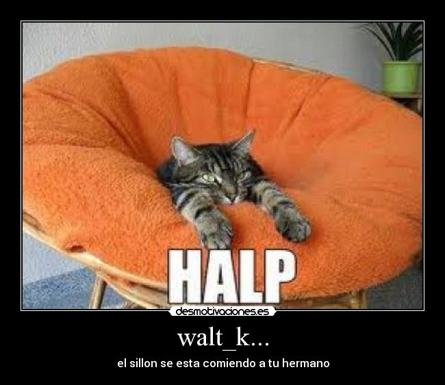walt_k... -