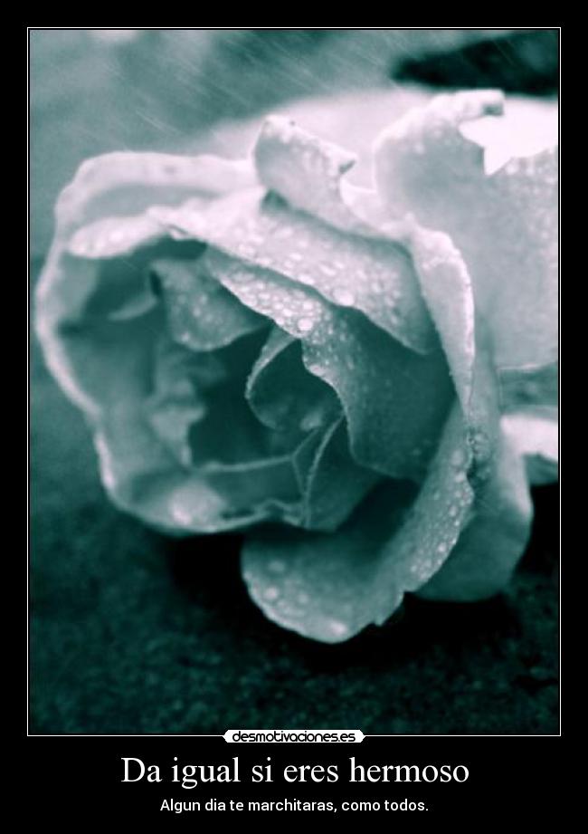Da igual si eres hermoso - Algun dia te marchitaras, como todos.