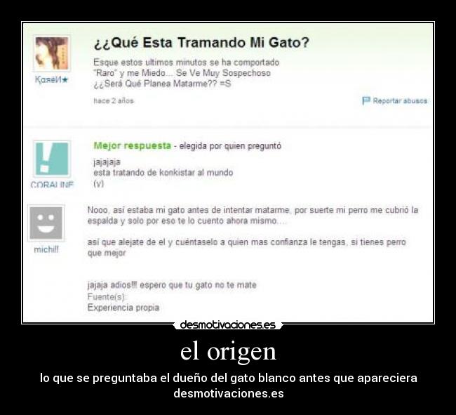 el origen - lo que se preguntaba el dueño del gato blanco antes que apareciera
desmotivaciones.es