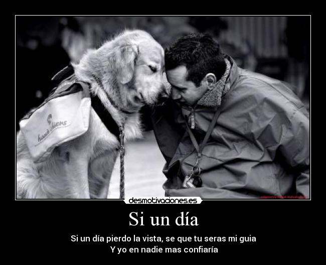 Si un día - Si un día pierdo la vista, se que tu seras mi guia
 Y yo en nadie mas confiaría