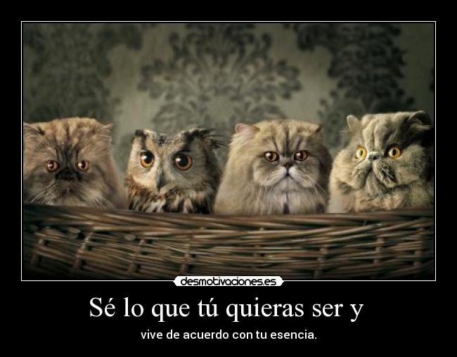 Sé lo que tú quieras ser y -