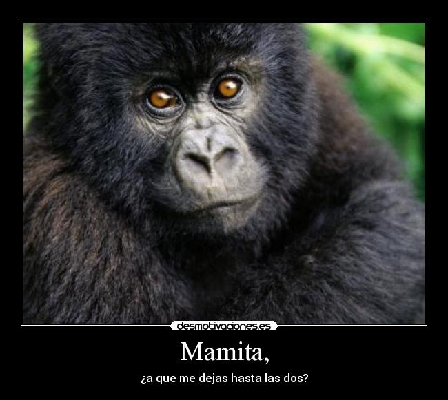 Mamita, - ¿a que me dejas hasta las dos?