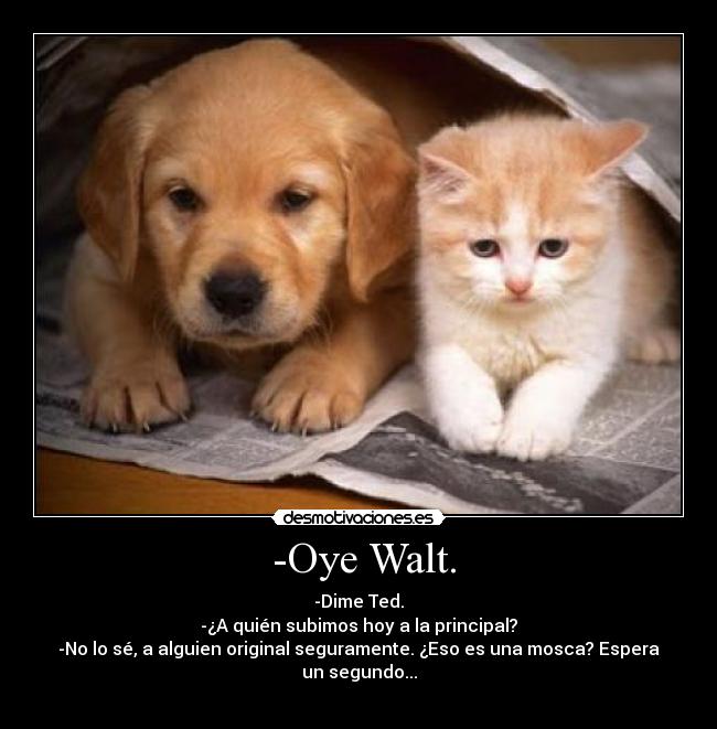 -Oye Walt. - -Dime Ted.
-¿A quién subimos hoy a la principal?
-No lo sé, a alguien original seguramente. ¿Eso es una mosca? Espera un segundo...