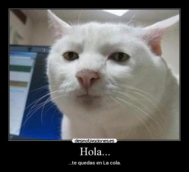 Hola... -
