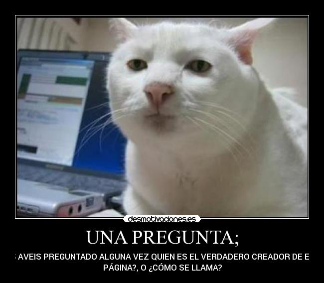 UNA PREGUNTA; - 