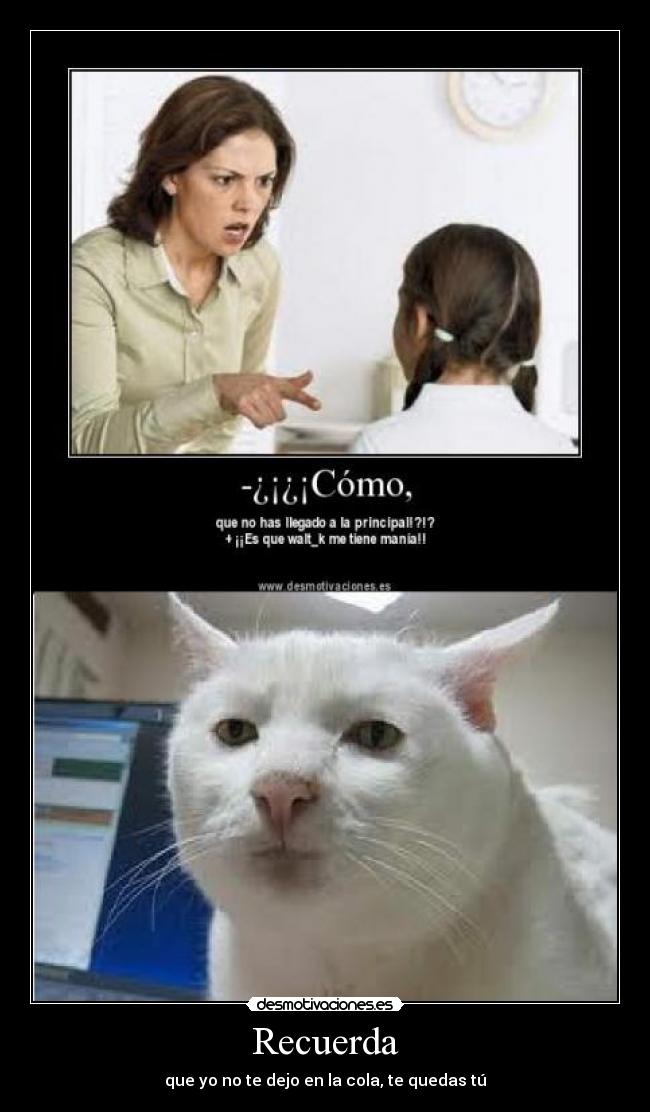 Recuerda - que yo no te dejo en la cola, te quedas tú