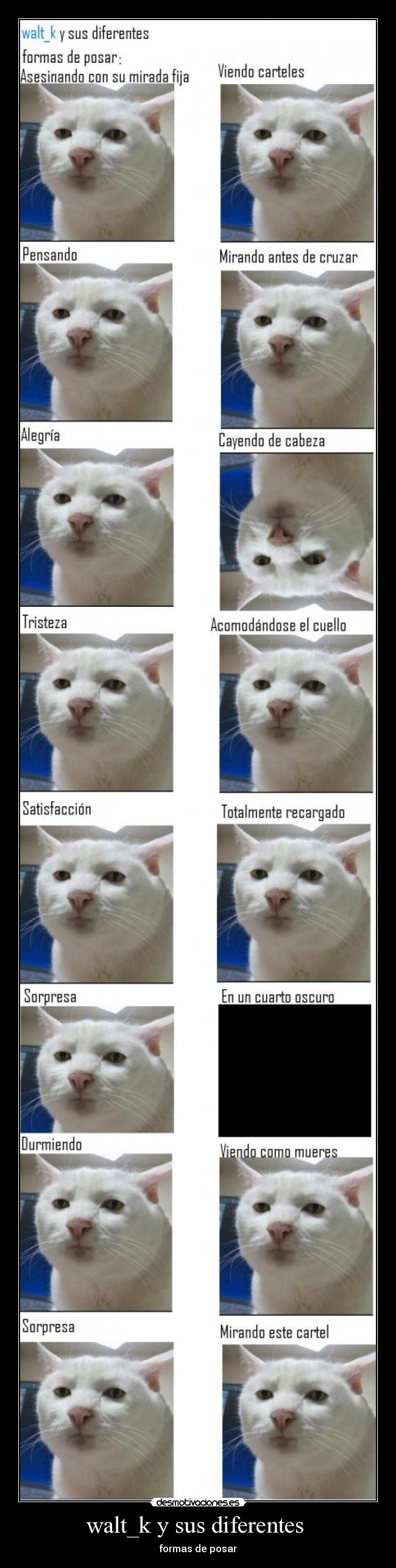 walt_k y sus diferentes -