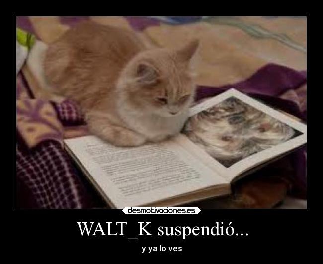 WALT_K suspendió... - y ya lo ves