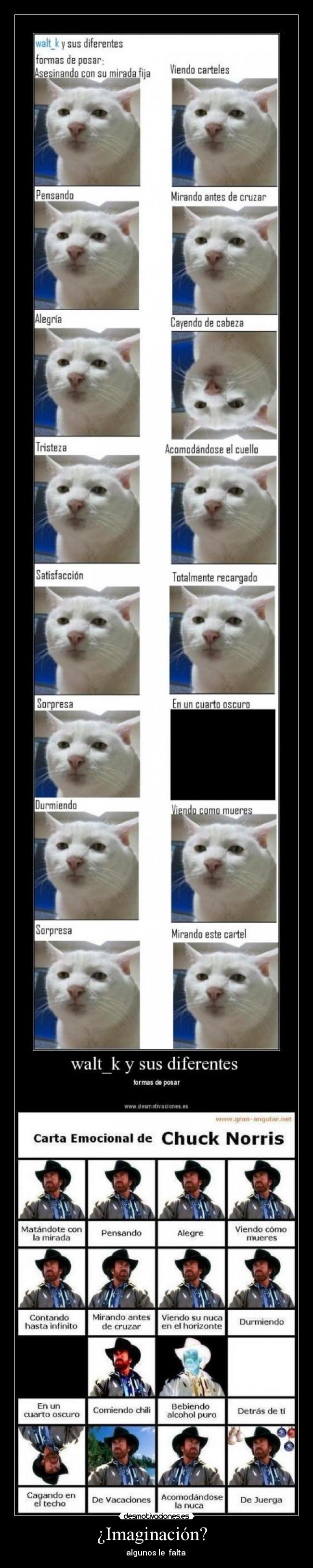 ¿Imaginación? - algunos le falta