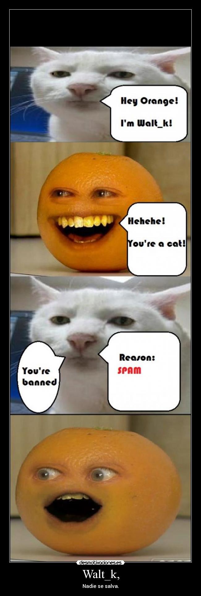 Walt_k, - Nadie se salva.