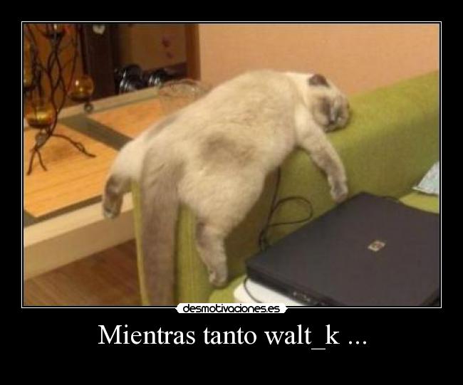 Mientras tanto walt_k ... - 