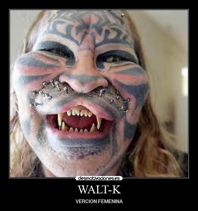 WALT-K - 