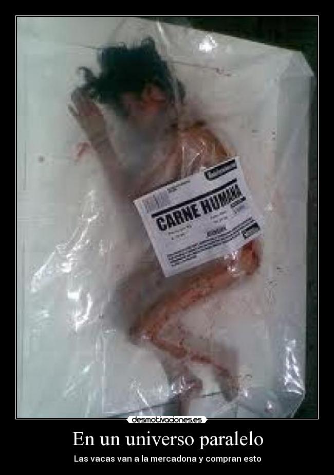 carteles universo paralelo desmotivaciones