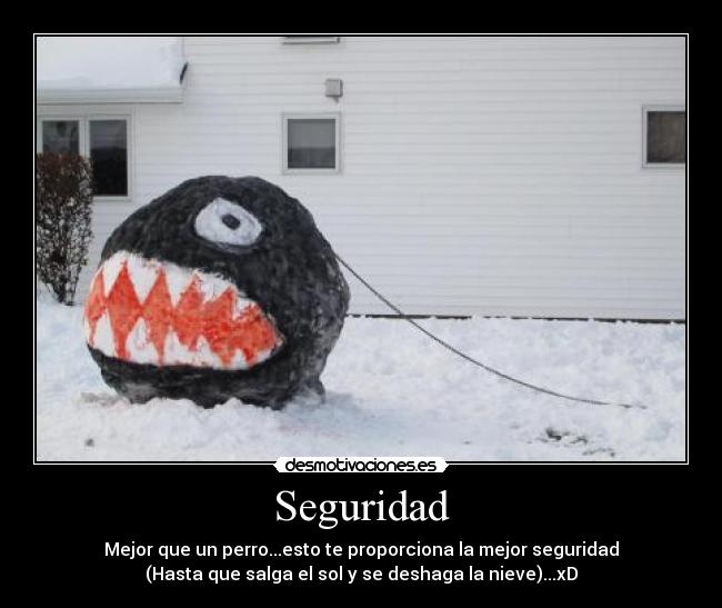Seguridad - Mejor que un perro...esto te proporciona la mejor seguridad
(Hasta que salga el sol y se deshaga la nieve)...xD