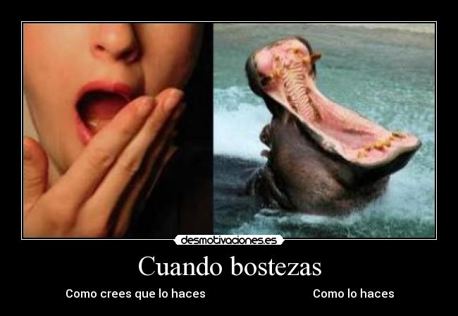 Cuando bostezas - 
