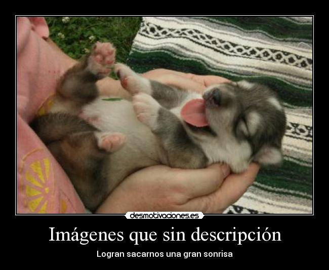 Imágenes que sin descripción - 