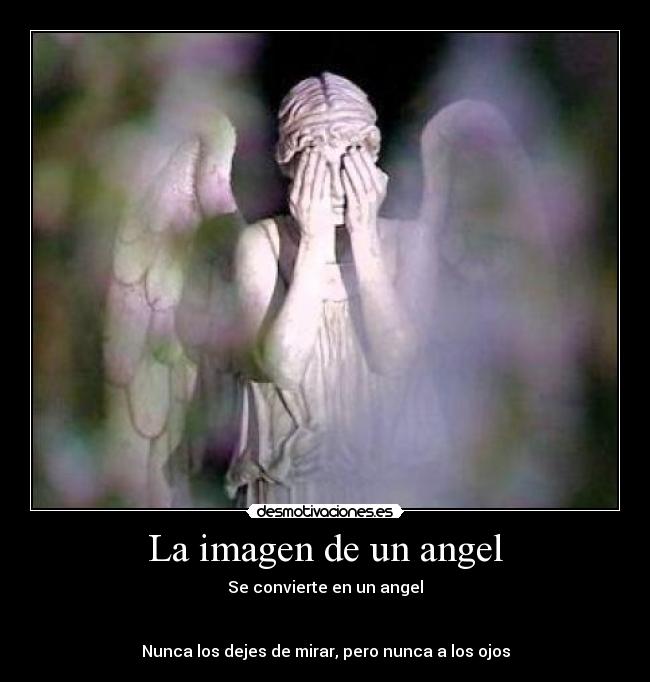 La imagen de un angel - 