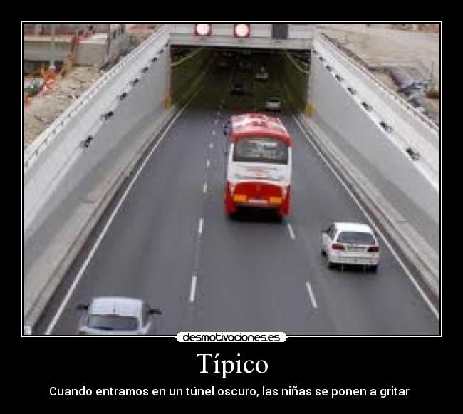 Típico - 