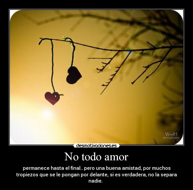 No todo amor - permanece hasta el final.. pero una buena amistad, por muchos
tropiezos que se le pongan por delante, si es verdadera, no la separa
nadie.