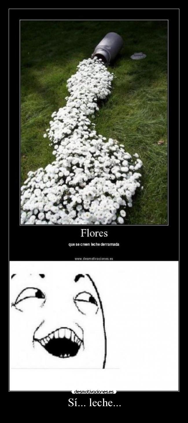 Sí... leche... -