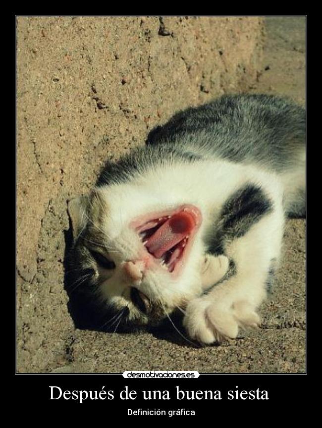 Después de una buena siesta  - 