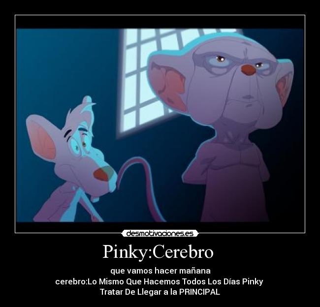 Pinky:Cerebro -