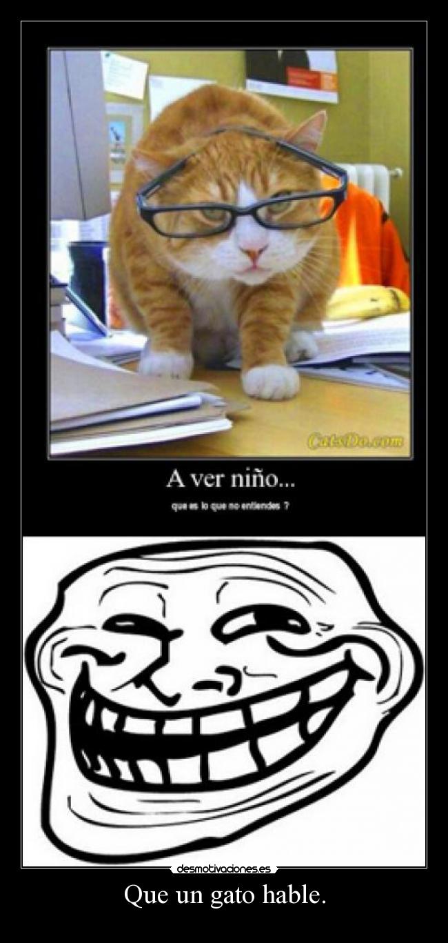 Que un gato hable. -