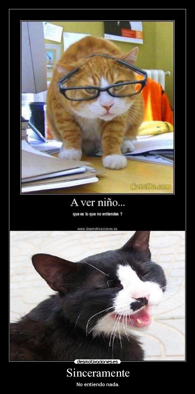 carteles amigos amor amistad felicidad tristeza ayuda apoyo desmotivaciones