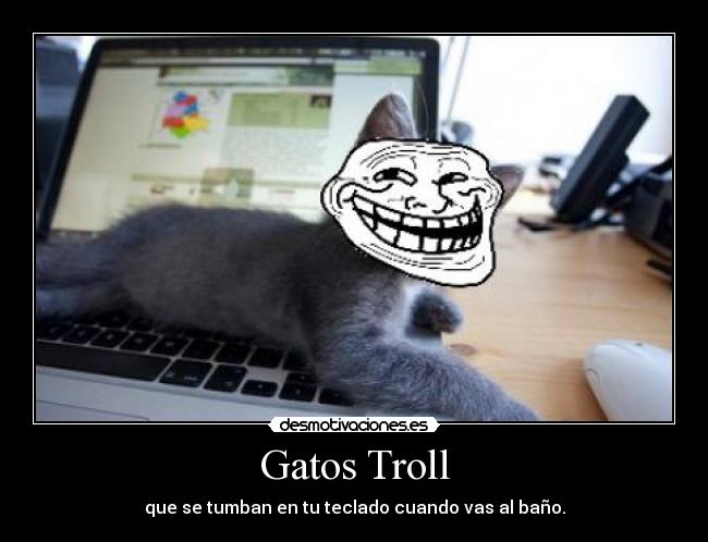 Gatos Troll - 
