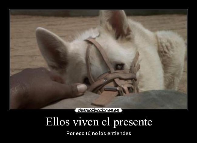 Ellos viven el presente -