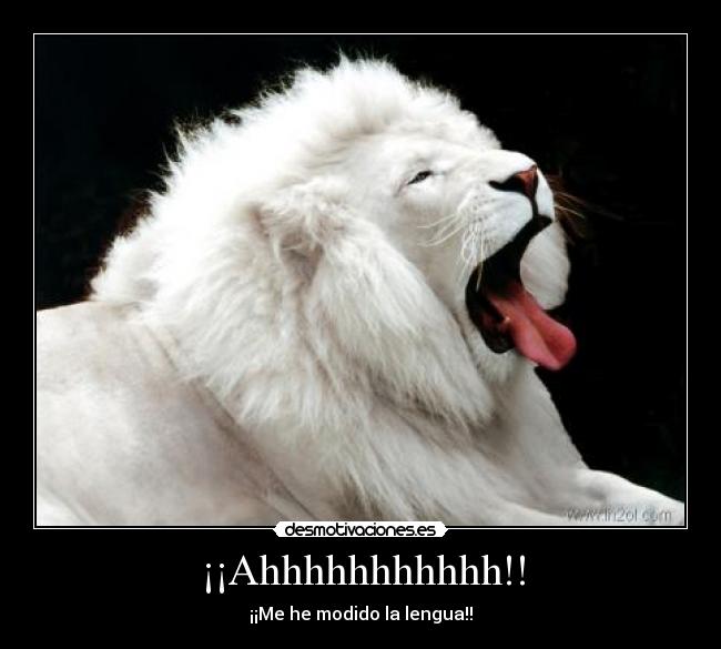 ¡¡Ahhhhhhhhhhh!! - 