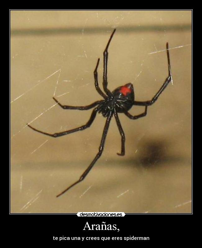 Arañas, -