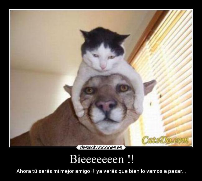 Bieeeeeeen !! -