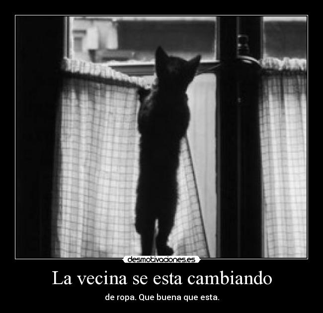 La vecina se esta cambiando - 