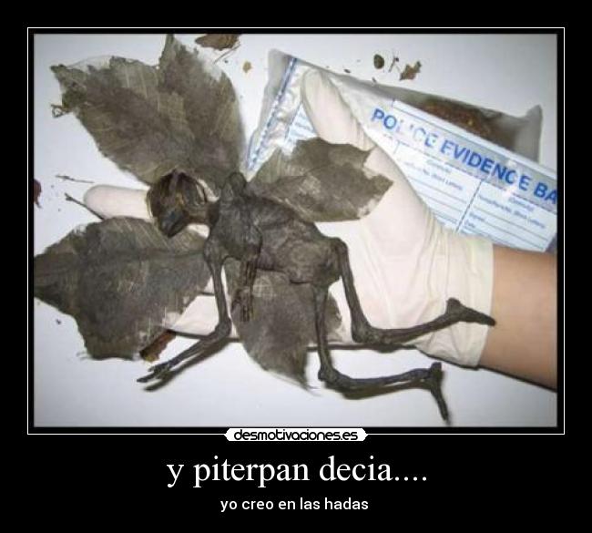 y piterpan decia.... - yo creo en las hadas