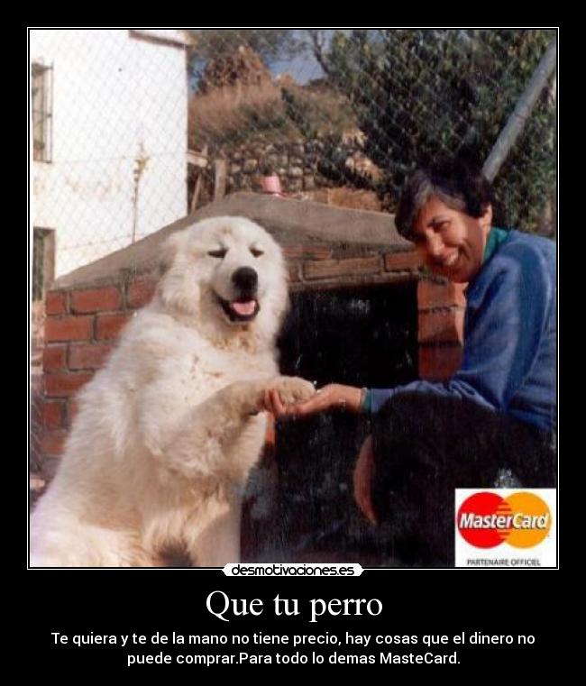Que tu perro -