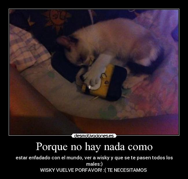 Porque no hay nada como - estar enfadado con el mundo, ver a wisky y que se te pasen todos los males:)
WISKY VUELVE PORFAVOR! :( TE NECESITAMOS